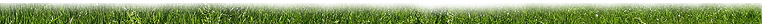 Alton Irrigation, Inc.